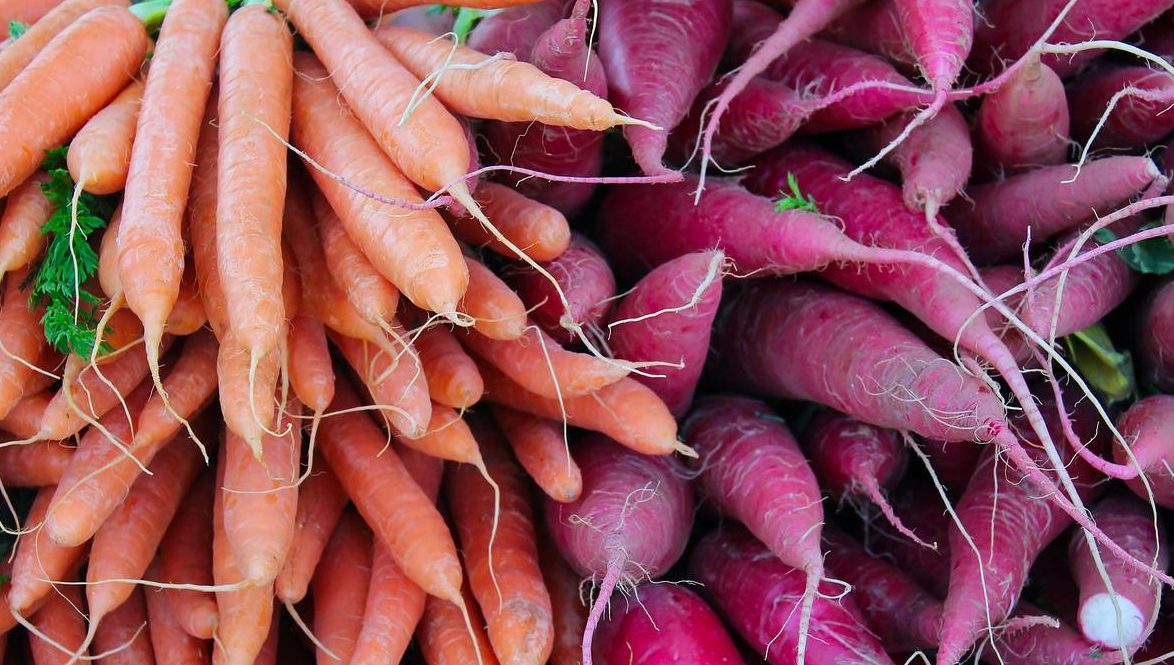 carrots, radish, vegetables-6158846.jpg