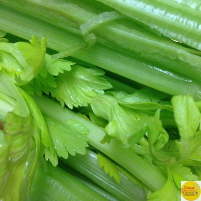 celery, vegetable, healthy-383753.jpg