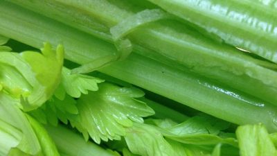 celery, vegetable, healthy-383753.jpg