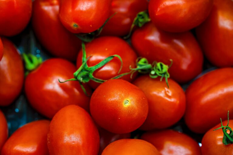 Close-up view of fresh, ripe red tomatoes with green stems, perfect for salads and cooking.
