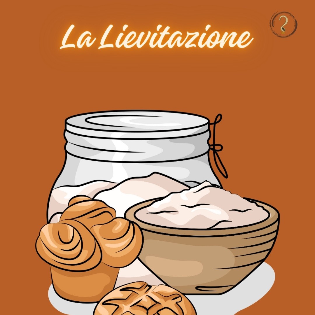 copertina sulla lievitazione con un boccaccio pieno di farina e all'esterno una brioche lievitata