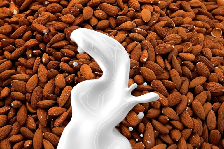 almond milk, milk, nut milk, non dairy, almond, beverage, drink, healthy, non-dairy, nut, remix, vegan, plant-based, vegetarian, food, white, diet, organic, healthy diet, healthy food, milk alternative, liquid, consumable, brown healthy, brown diet, almond milk, almond milk, almond milk, almond milk, almond milk, almond, almond