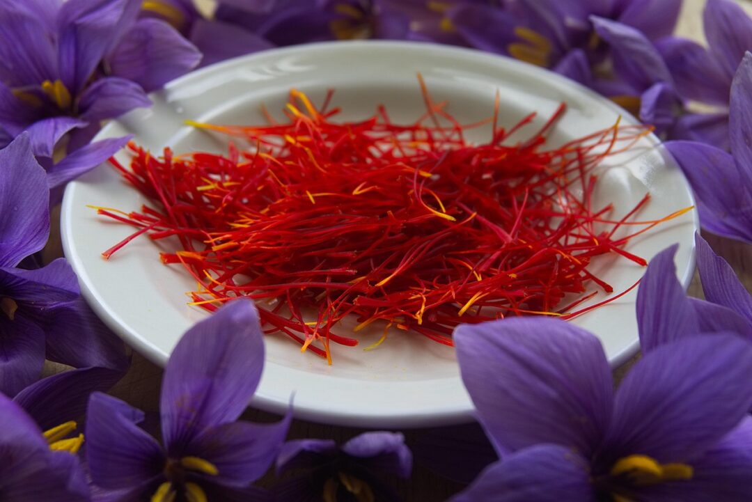 saffron, spice, pistils, flower background, pistils of saffron, beautiful flowers, harvest, flower wallpaper, flowers, red gold, health, plantation, poitiers, crocus sativus, fall, condiments, colorful foods, nature, power