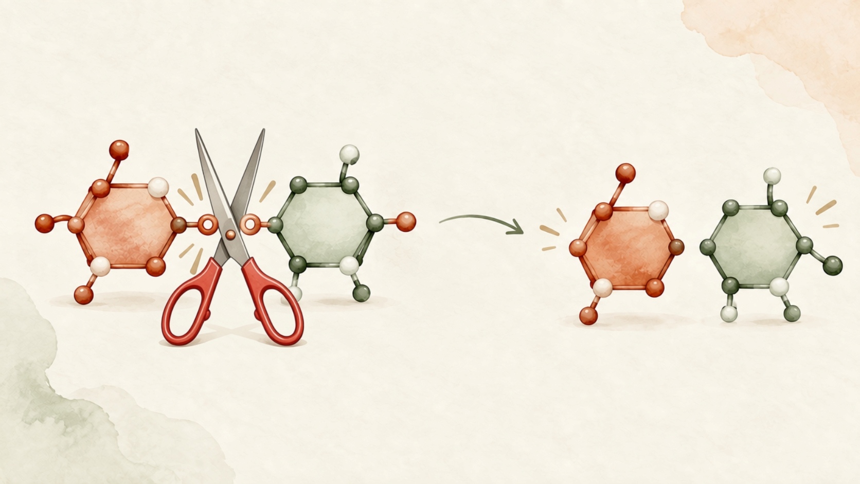 Illustrazione schematica della scissione del lattosio nei suoi due zuccheri costituenti