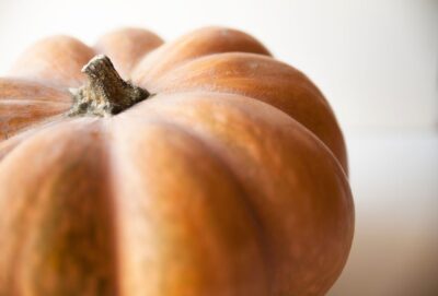 Detailed close-up of a ripe, organic pumpkin showcasing its natural texture and color.