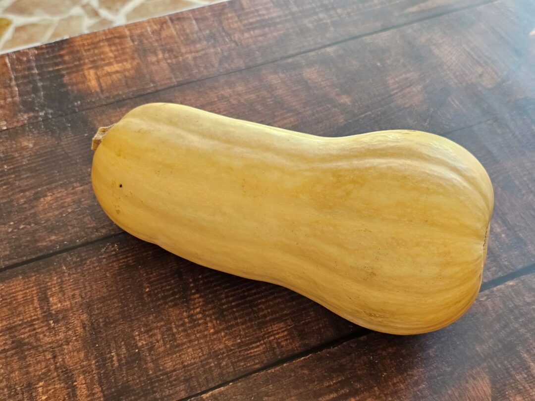 zucca butternut